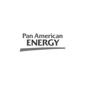 pan-american-energy